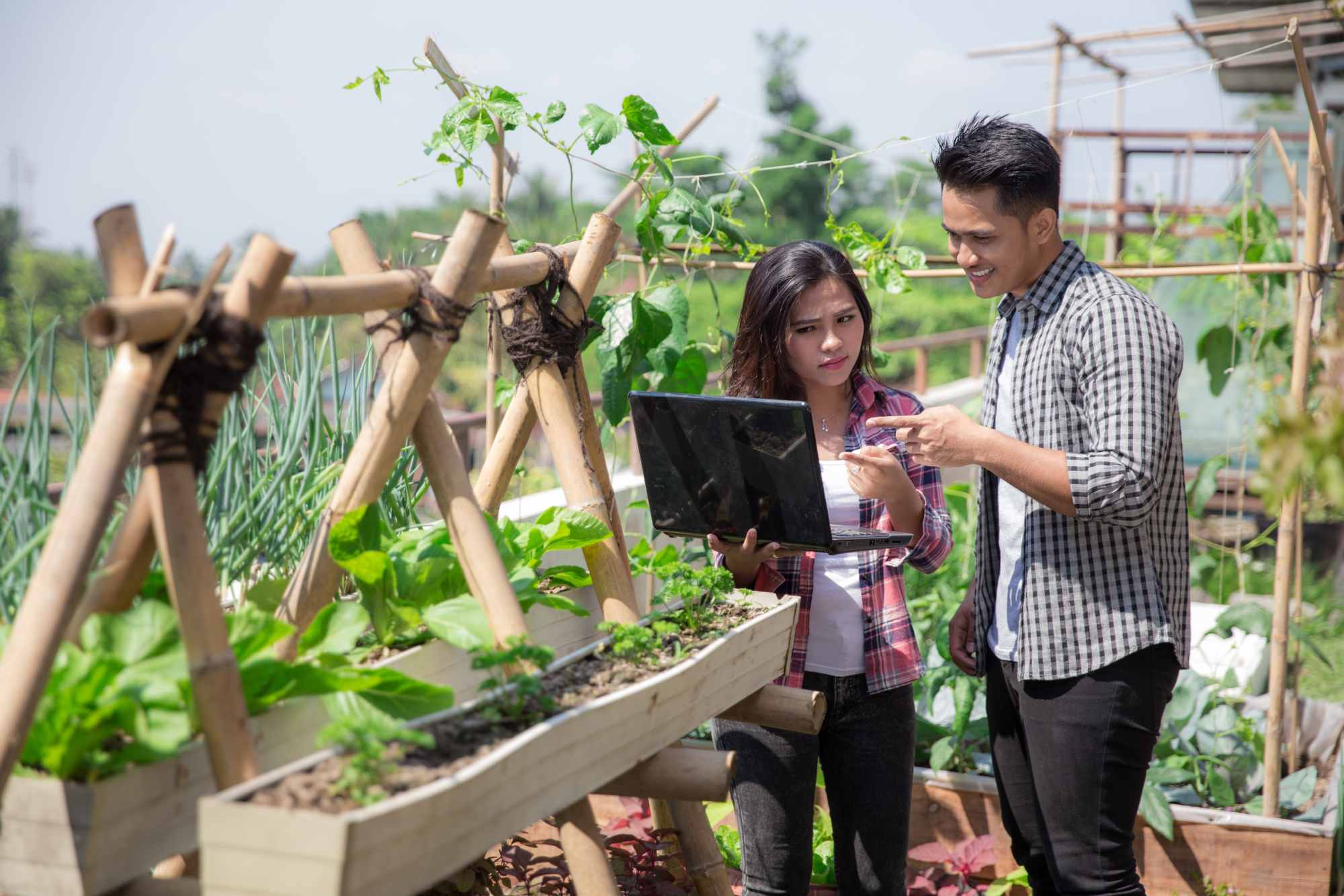 Skill Development in Gardening, Carpentry